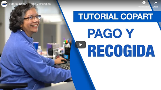 How to Buy From Copart video